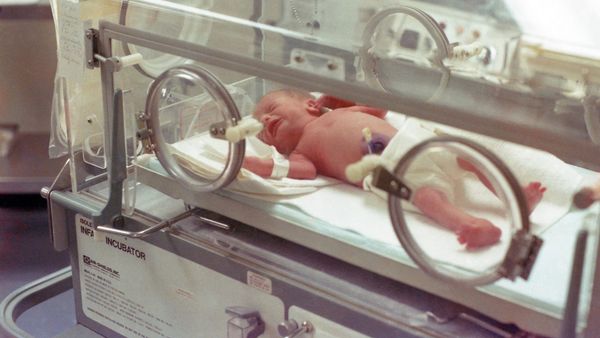 Pse u nis familja Hoxha drejt Romës për të gjetur diagnozën e Dardit?