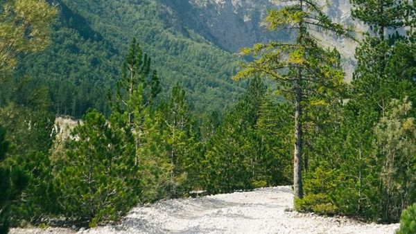 Fisi Kelmendi — malësorët që për 400 vjet nuk u dorëzuan