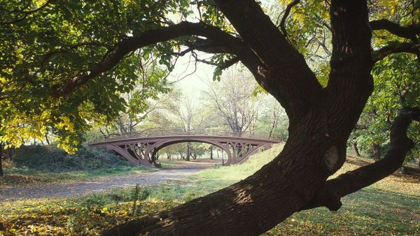 Si e ndërtoi Xhevat Limani Teatrin Shqiptar në Nju Jork?