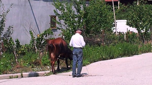 Çfarë transformimi po ndodh në Ujërat Termale të Bënjës?