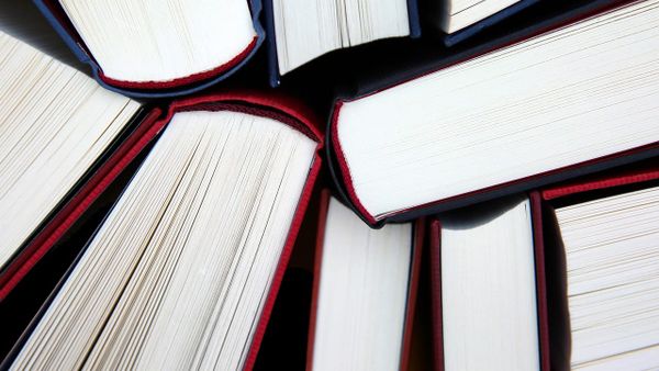 Pse Meliza Krasniqi thotë se në Kosovë nuk ka krizë të leximit?