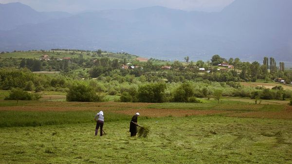 Komisioni për Evropën miraton tre projektligje për bujqësinë, energjinë dhe administratën