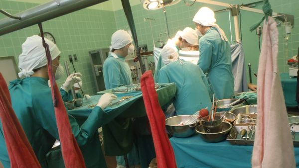Pse duhet të themi 'po' dhurimit të organeve?