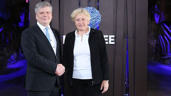 Pse ndalohet prerja e drunjve?