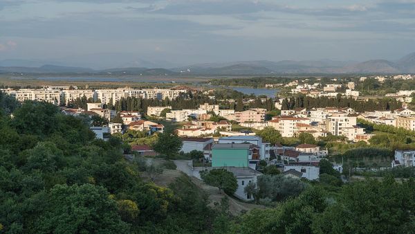 Arrestohet në kufi shtetasja e Maqedonisë që shkeli për vdekje qenin në Ulqin
