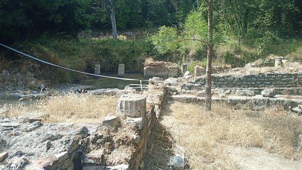 Cili është synimi i website-it të ri?