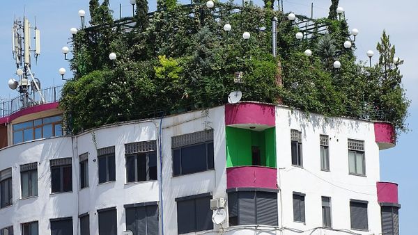 Kërkesa për qira ditore në Shqipëri u rrit 22.6% — zënia arrin 58.89%