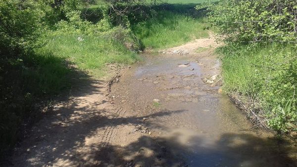 Kumanova nis spërkatjen ajrore më 5 gusht — mbulohen 1,270 hektarë