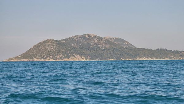Kush u takua Atdhe Gecin në Vlorën poetike të qershorit?