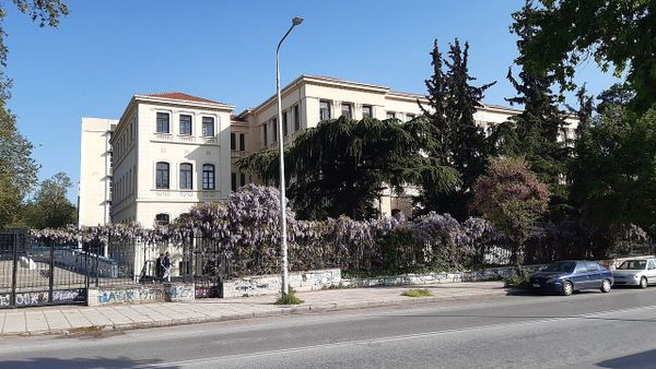Nxënësit shqiptarë përkthejnë filmin 'Shoku ynë Tili' në greqisht