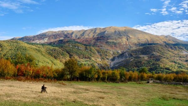 Pesë kompani betonizojnë bregdetin e Jugut — gërryejnë 137 hektarë pyje në Ilias