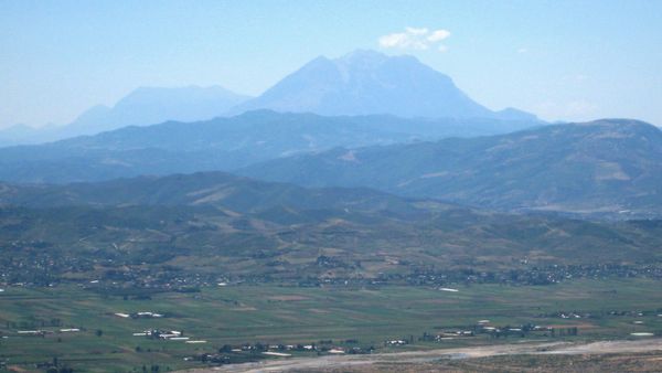 Pika "Hatia" i mban fermerit të Elbasanit 26,4 milionë lekë për lakrën