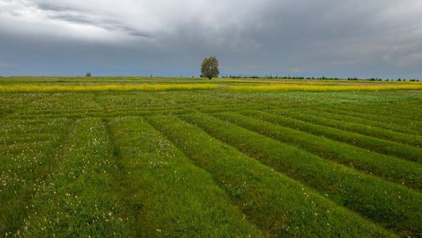 Qeveria kompensoi nën 50% të dëmeve prej 35 milionë eurosh në bujqësi