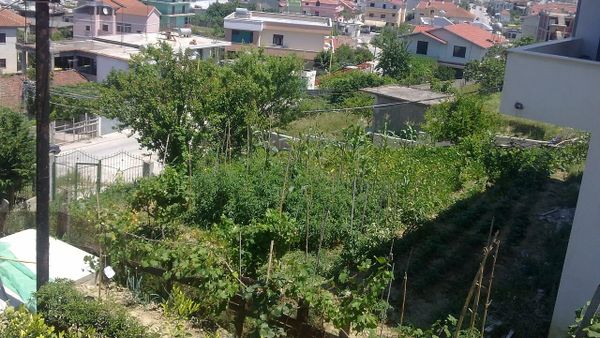 Qeveria ndan 99.9 milionë lekë për shpronësimet në Spitallë