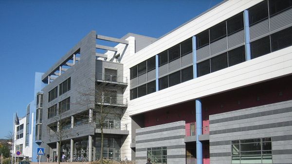 Sa përqind e popullsisë shqipe është humbur në 25 vjet?