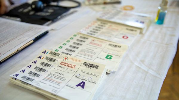 Sa raste helmimi u regjistruan në Han të Elezit?