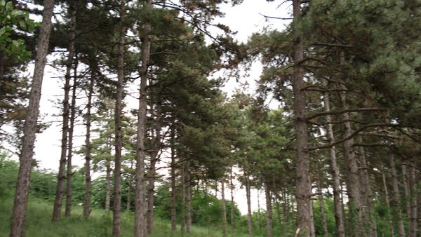 Shkëndija U16 mposht Teteksin në miqësoren e parë