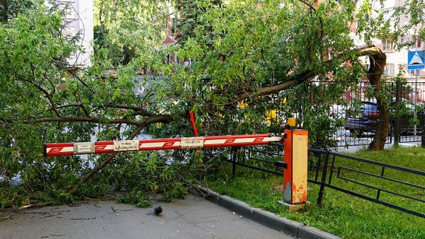 Shkupi ende i mbushur me degë e mbeturina, një javë pas stuhisë