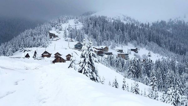 Sa prona të uzurpuara do t'i kthehen Ministrisë së Bujqësisë?