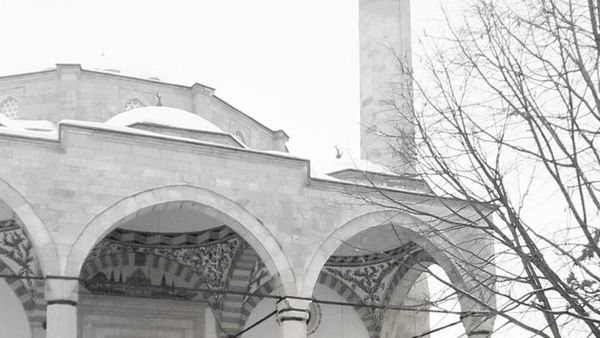 Si të mbroheni dhe të reagoni gjatë tërmetit: këshilla që mund të shpëtojnë jetë