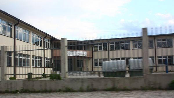 Si po riorganizohet dega e BDI-së në Bogovinë përballë sfidave?