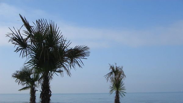Turistët në Shqipëri shtohen me 12.4% në maj — Italia kryeson fluksin