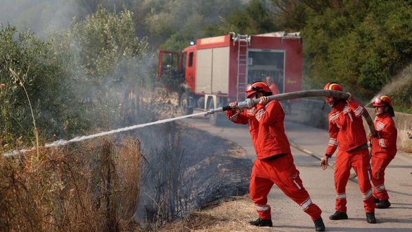 9 vatra zjarri aktive në Shqipëri, mbi 450 forca dhe 5 mjete ajrore në terren