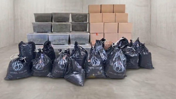 Sekuestrohen mbi 1.1 ton kanabis në Zvicër, në pranga dy persona