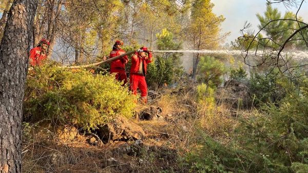 Ministria: 11 vatra zjarri aktive nga 29 të raportuara në 24 orë