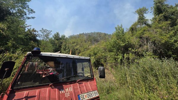 Zjarret në Maqedoni dhe Shqipëri, situatë e rëndë në Nikushtak e Pukë
