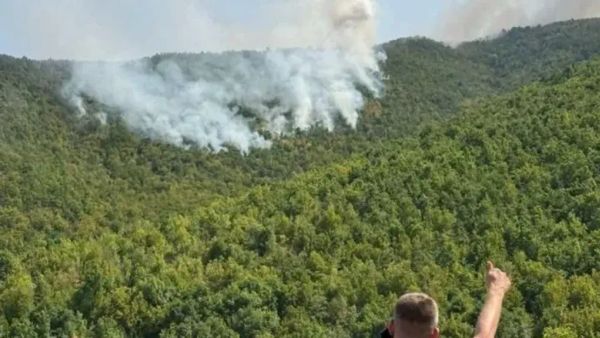Katër avionë ndërhyjnë për shuarjen e zjarrit mbi fshatin Gaber
