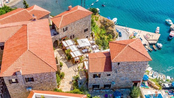 Sorrëshkinat kthehen në Kala, sinjal i fillimit të pranverës