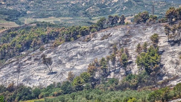 Zjarret dhe rreziqet klimatike në Shqipëri deri në vitin 2050