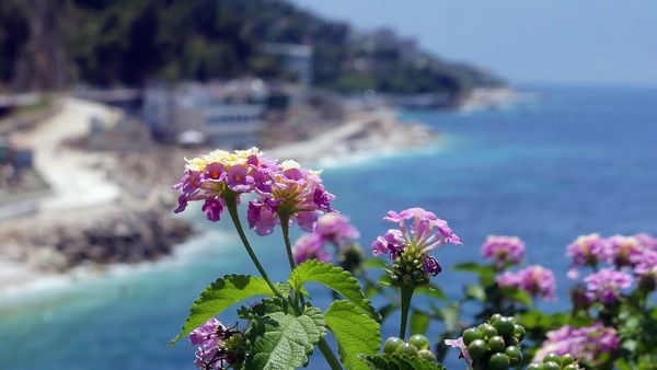 Ambasada gjermane falënderon emergjencat për shpëtimin e 4 turistëve në Vlorë