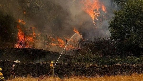 Zjarret në Shqipëri: 23 vatra, 13 aktive, veprimet e forcave