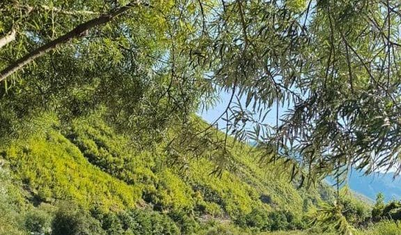 Moti i qëndrueshëm dhe reshje të shkurtra shiu në zona malore