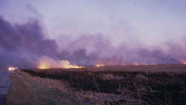 Ilustrim · Wildfire on fields by road (Public domain) / Wikimedia Commons