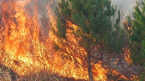 Foto: Telegrafi / telegrafi.com