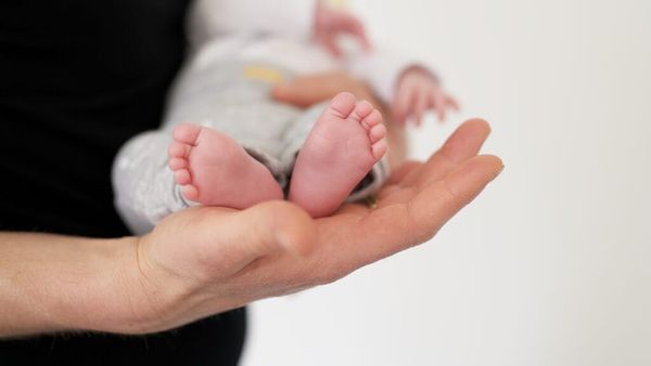Kostot e larta zhvendosin lindjet nga Tirana, bien 5.5% në janar-qershor