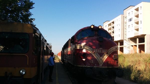 Grua vdes nga treni në Pejë, Trainkos anulon linjat