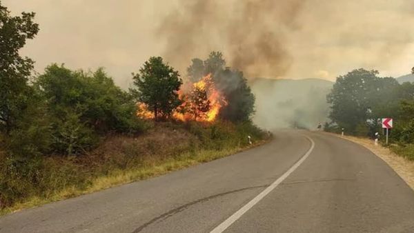 QMK: 33 zjarre në 24 orë, katër vatra mbeten aktive