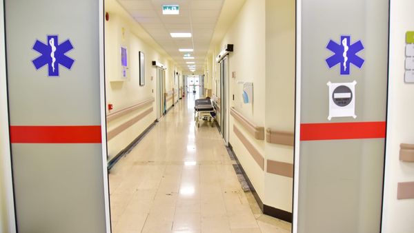 Arrestohet i dyshuari për sulmin ndaj mjekut në Viti