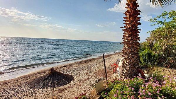 Kullat e plazheve mbeten bosh — vrojtuesit 'në drekë' ose pa pajisje