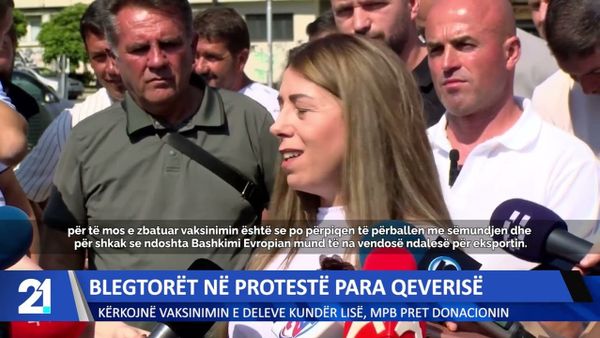 Blegtorët protestojnë para Qeverisë për linë e deleve