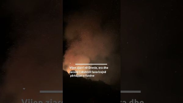 Zjarri vijon në Drenie, forcat në terren luftojnë flakët