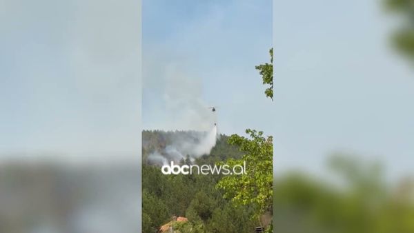 Zjarri në Pukë, urdhërohet evakuimi i banorëve të fshatit Gojan i Madh