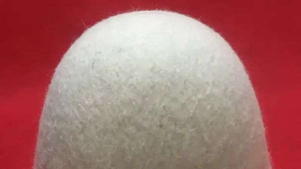 Poezia e Feti Tunuzliut për plisin që nuk përballet publikohet në Fjalën e Lirë