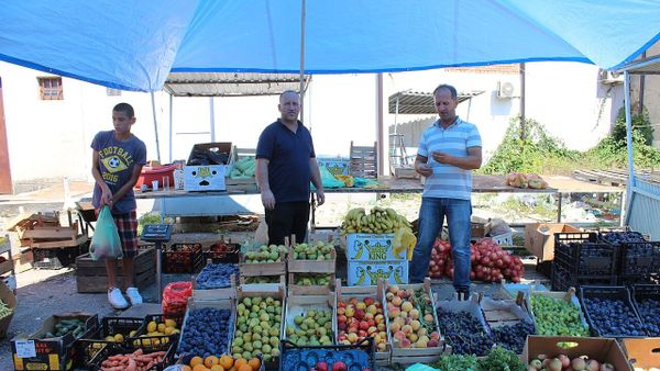 Qumështarët kërkojnë reciprocitet ndaj Bosnjës — 13 milionë euro import