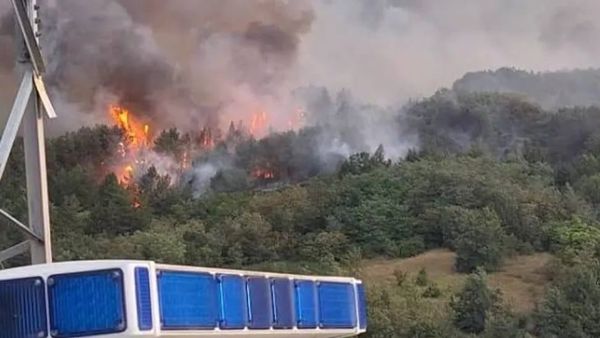 Shtatë zjarre mbeten aktive ndërsa 24 raste raportohen në një ditë