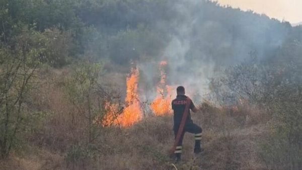 Zjarri në Bulqizë rrezikon banesat në Zall-Strikçan, zjarrfikësit në terren